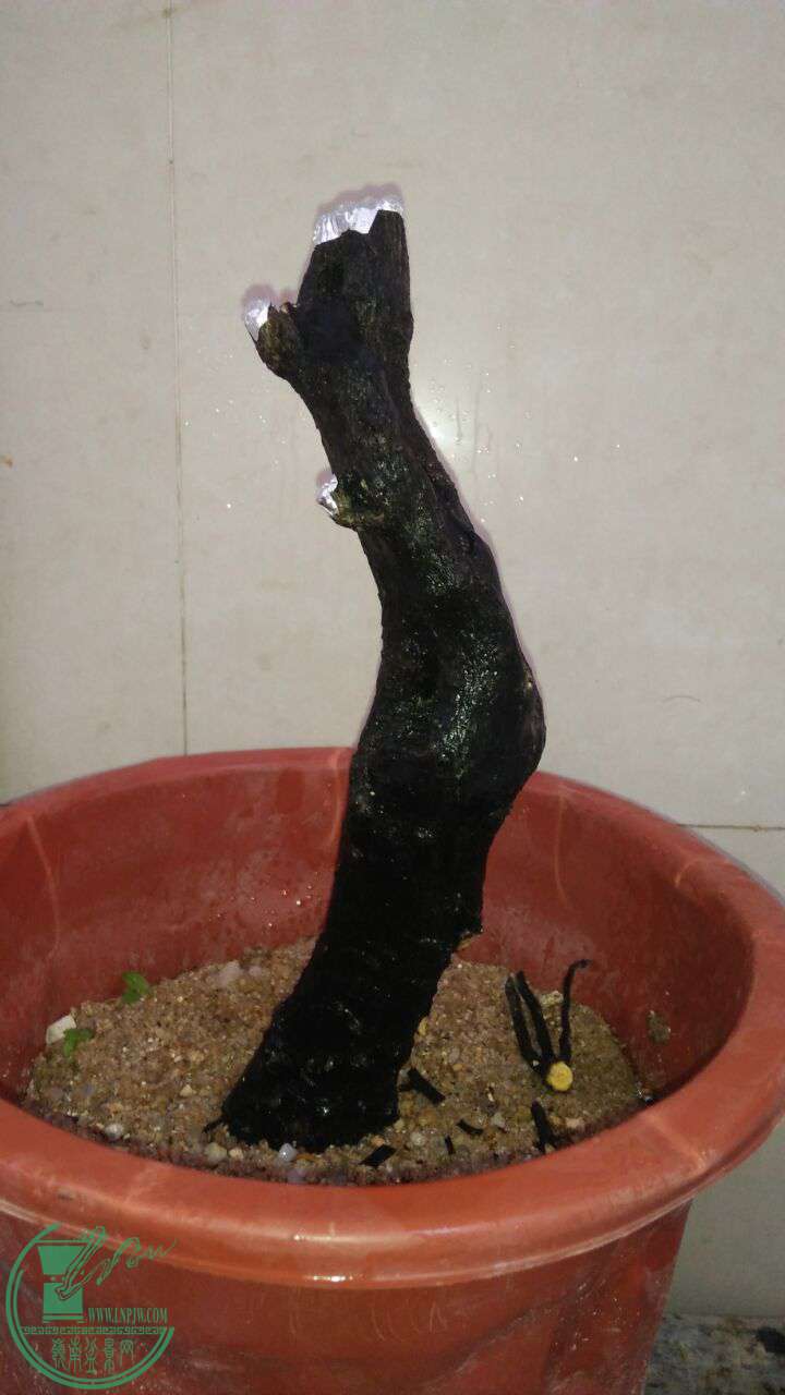 QQͼƬ20170422191321.jpg