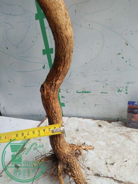 IMG20170422092831.jpg