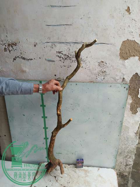 IMG20170422093144.jpg