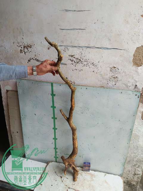 IMG20170422093155.jpg