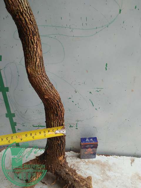 IMG20170422093216.jpg