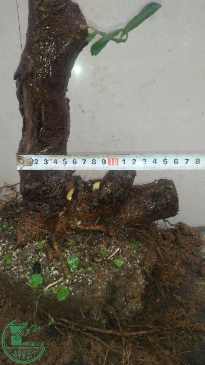 QQͼƬ20170423200220.jpg