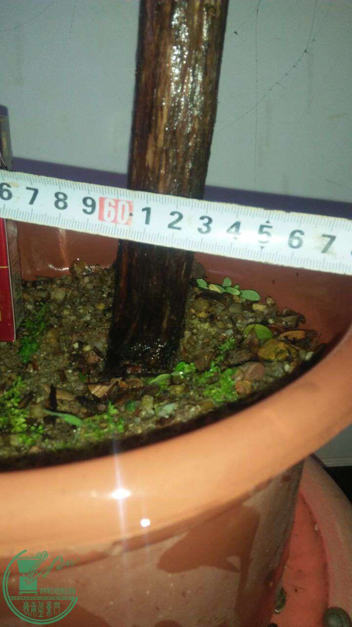QQͼƬ20170423200055.jpg