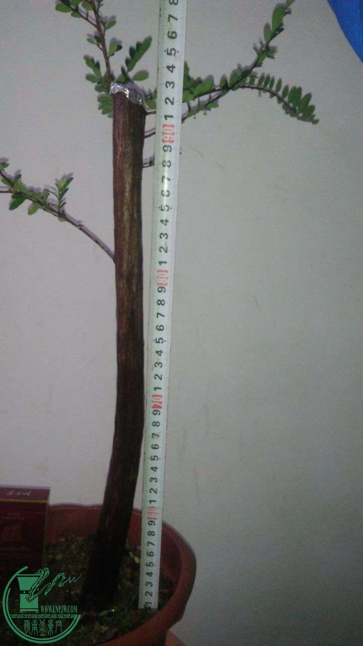 QQͼƬ20170423200040.jpg