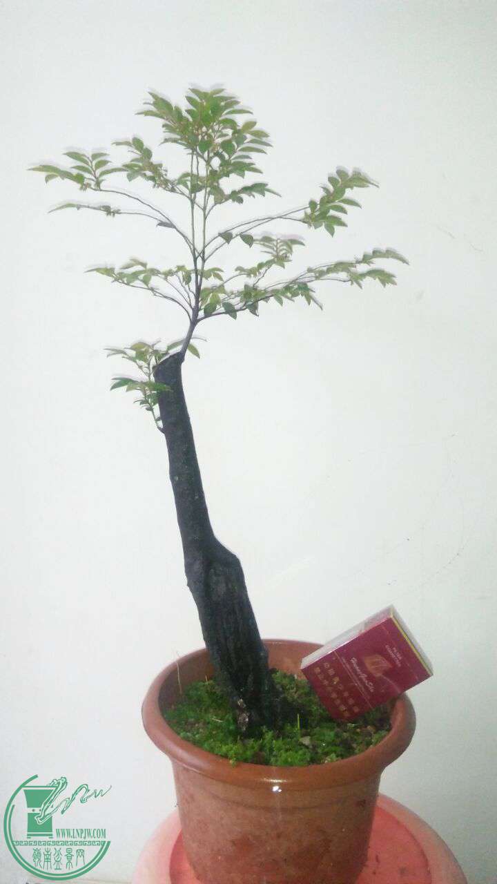 QQͼƬ20170423200131.jpg