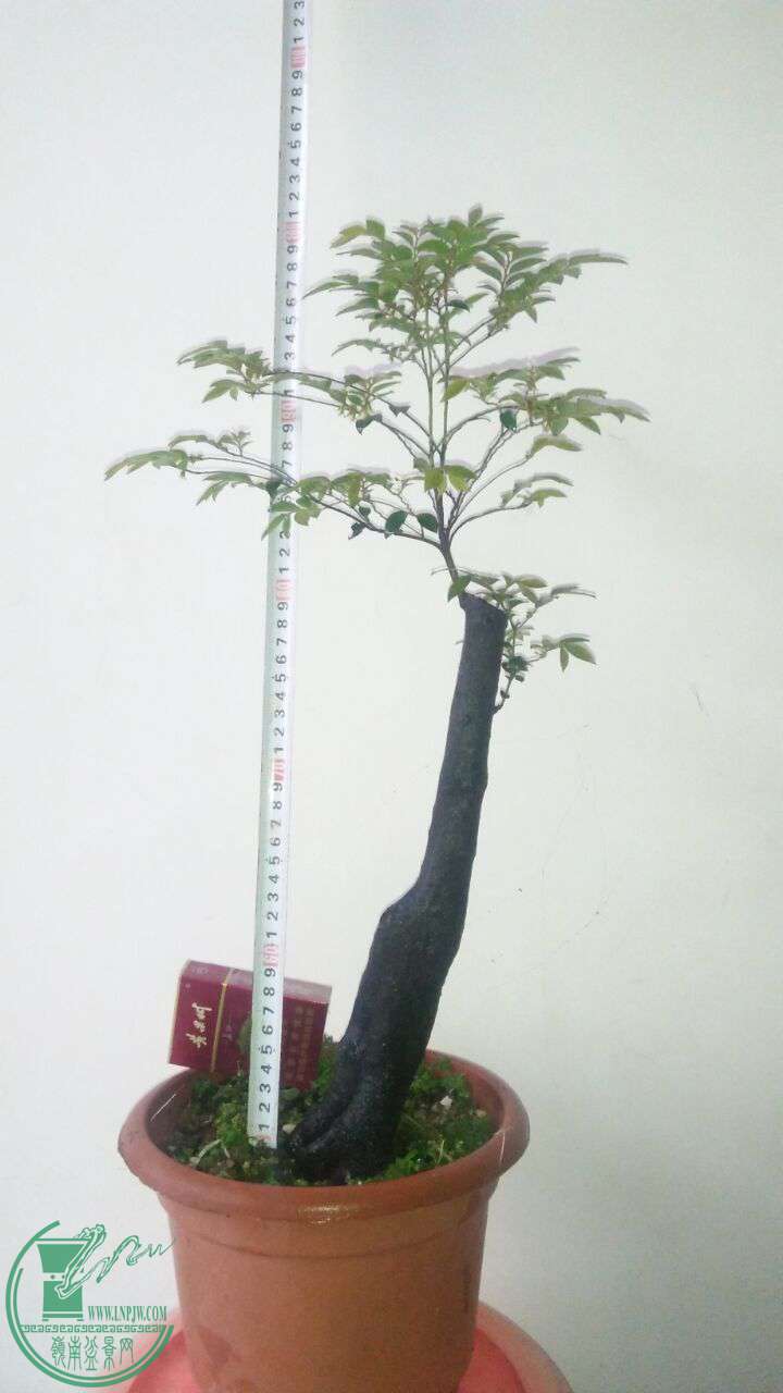 QQͼƬ20170423200151.jpg