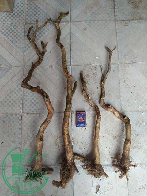 IMG20170423140307.jpg