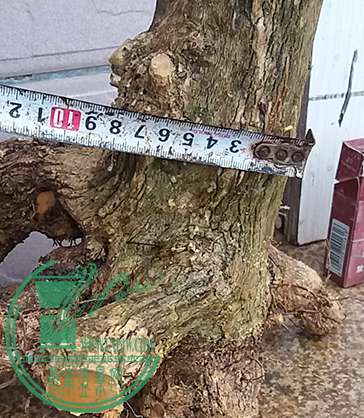 20170424_105042_mh1493031745332.jpg