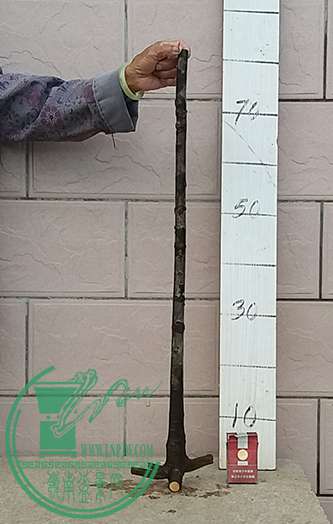 20170425_180406_mh1493118631869.jpg