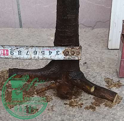 20170425_180343_mh1493118614699.jpg