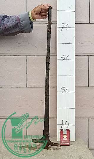 20170425_180334_mh1493118598298.jpg