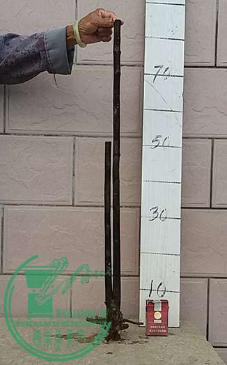20170425_180306_mh1493118577174.jpg
