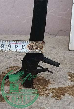 20170425_180454_mh1493118686087.jpg