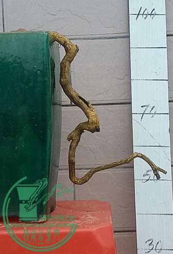 20170425_073159_mh1493118183948.jpg
