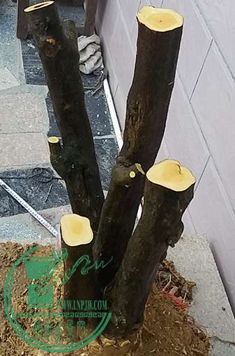 20170427_181643_mh1493292997036.jpg