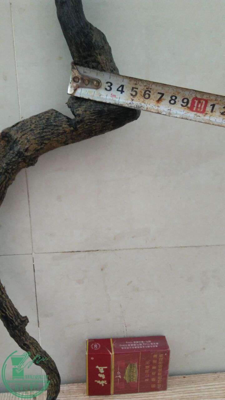 QQͼƬ20170427221839.jpg