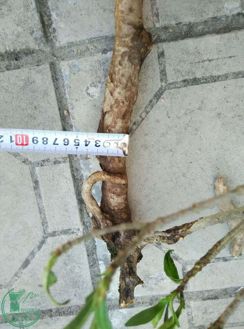QQͼƬ20170428164954.jpg