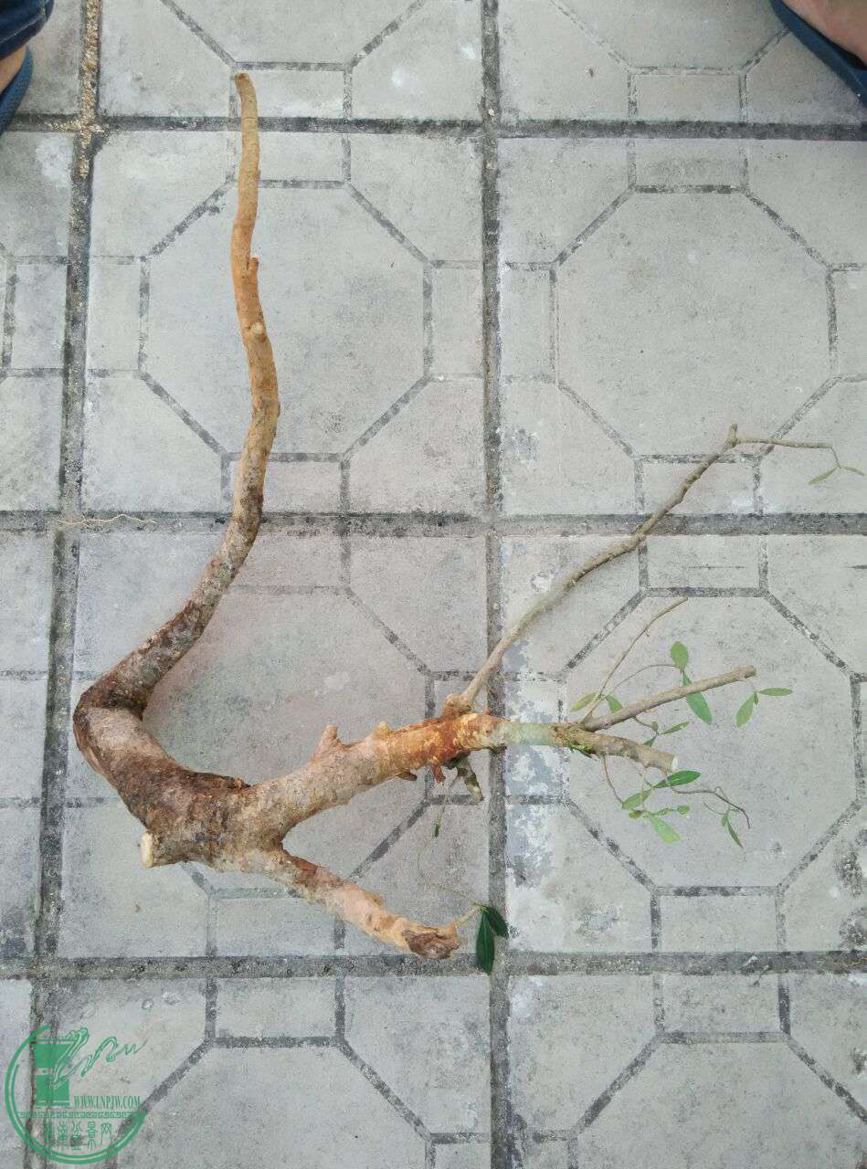 QQͼƬ20170428165019.jpg