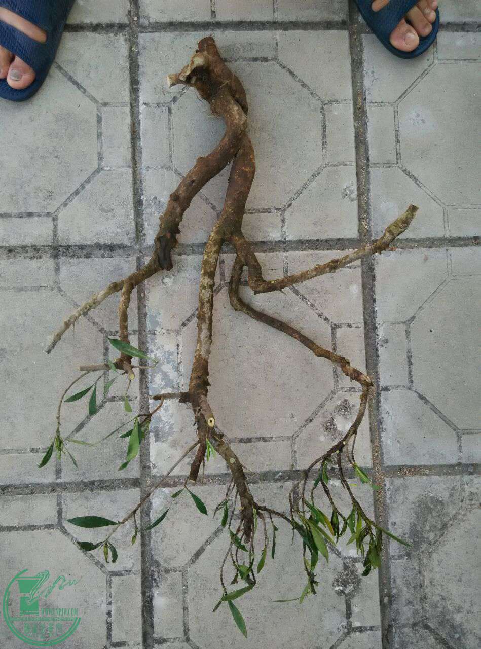 QQͼƬ20170428164958.jpg