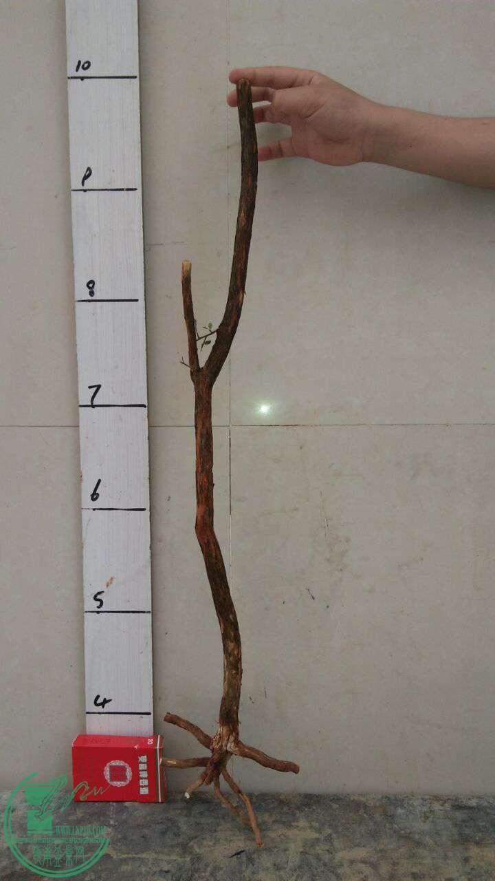 QQͼƬ20170428195253.jpg