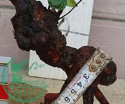 20170428_180547_mh1493379405272.jpg