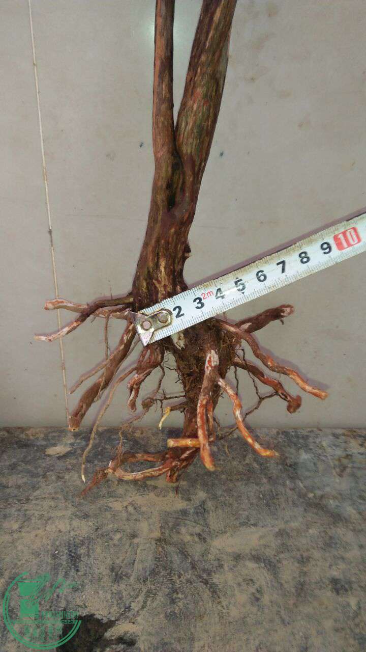 QQͼƬ20170428195311.jpg