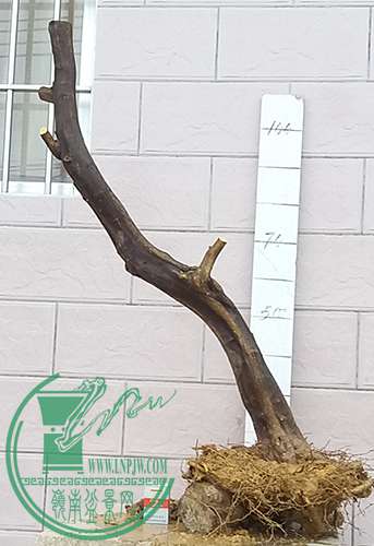20170427_180651_mh1493354642011.jpg