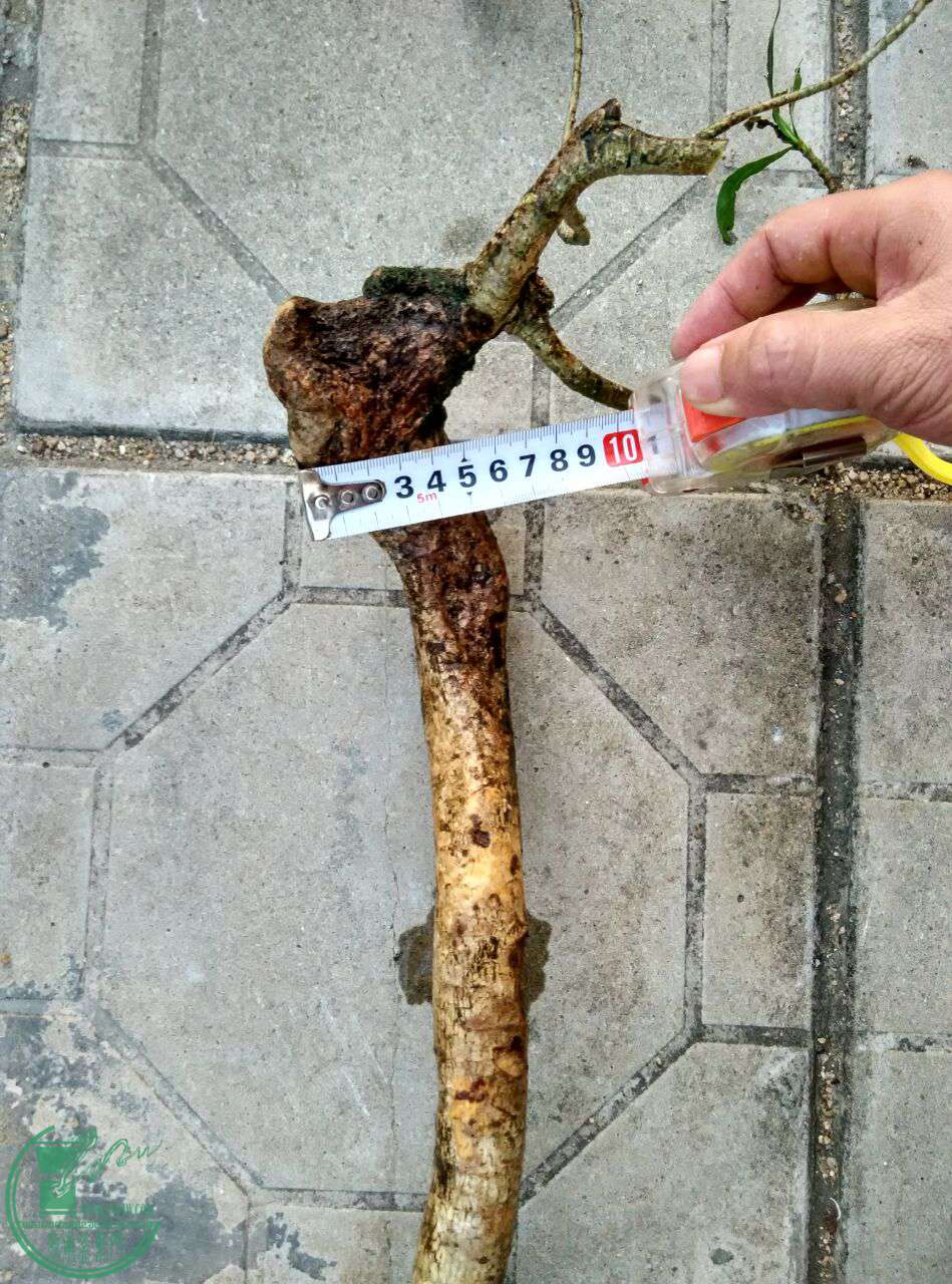 QQͼƬ20170429184920.jpg