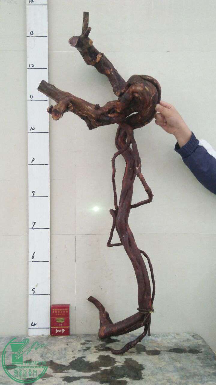 QQͼƬ20170429200141.jpg