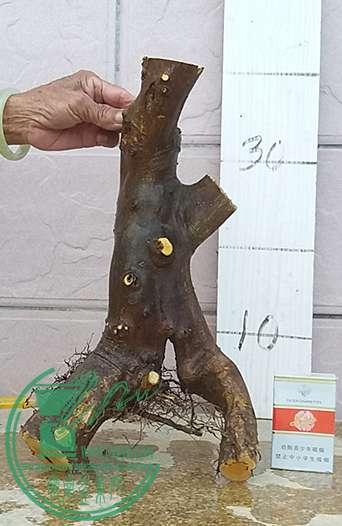 20170429_181747_mh1493465616268.jpg