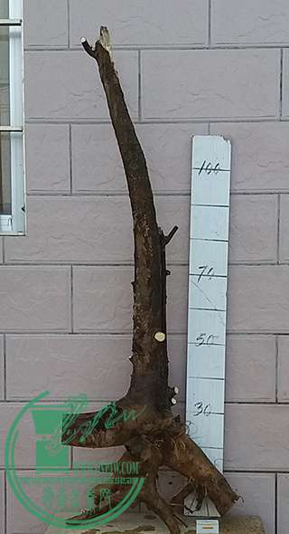 20170429_181435_mh1493465539804.jpg