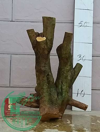 20170430_183933_mh1493552250249.jpg