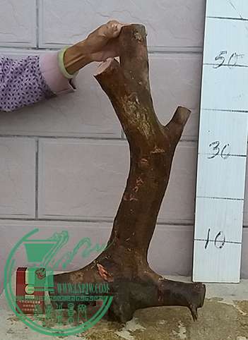 20170430_183623_mh1493552188592.jpg