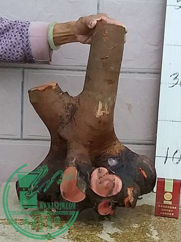 20170430_183549_mh1493552167521.jpg