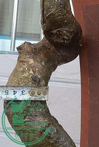 20170429_182914_mh1493551573889.jpg