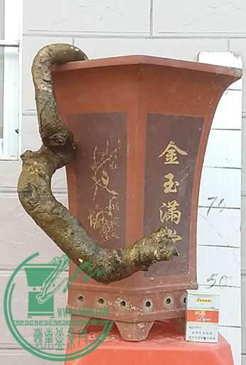 20170429_182833_mh1493551544123.jpg