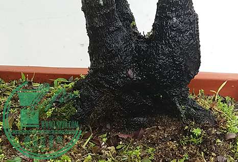 20170430_124816_mh1493551853939.jpg