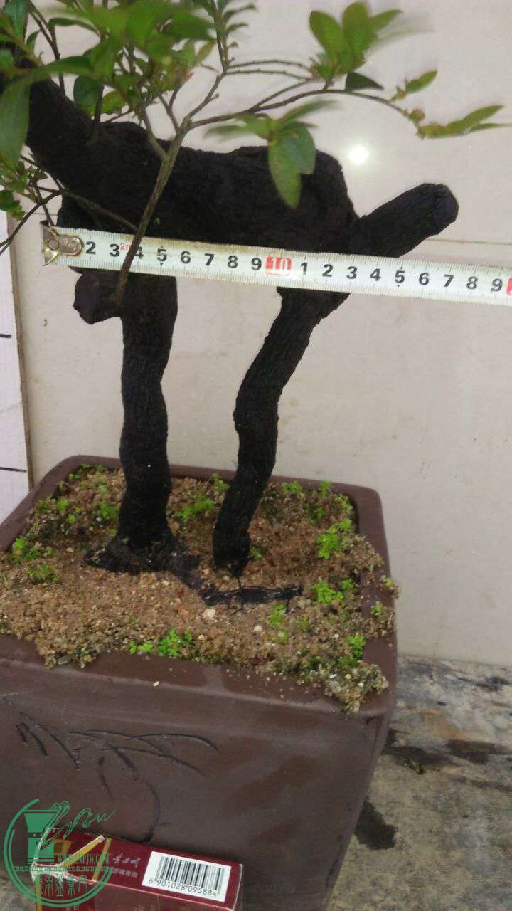 QQͼƬ20170430203148.jpg