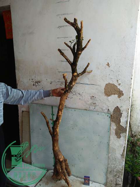 IMG20170429094934.jpg