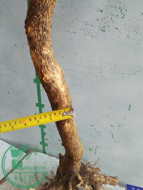 IMG20170429095114.jpg
