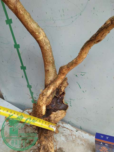 IMG20170429095318.jpg