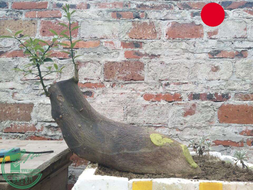 QQͼƬ20170501013254.jpg