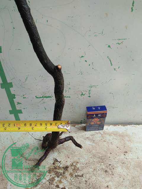 IMG20170430121707.jpg