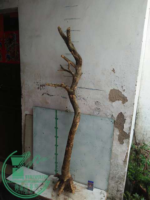 IMG20170430103943.jpg