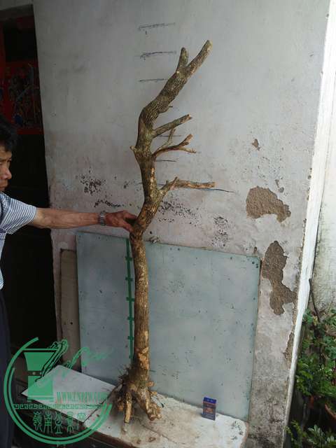 IMG20170430104003.jpg