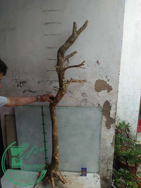 IMG20170430104010.jpg