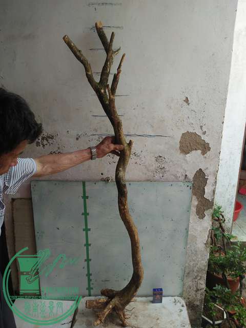 IMG20170430104054.jpg