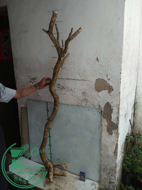 IMG20170430104114.jpg