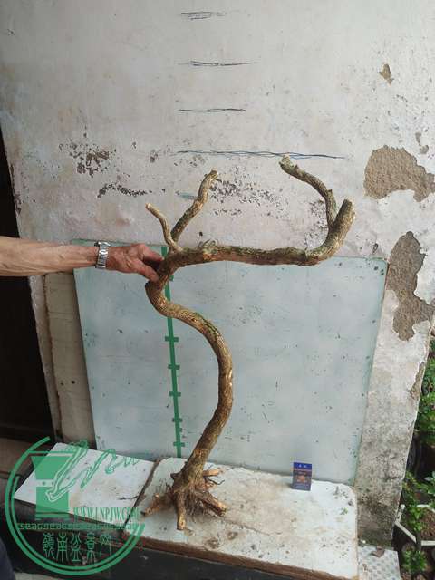 IMG20170430104203.jpg