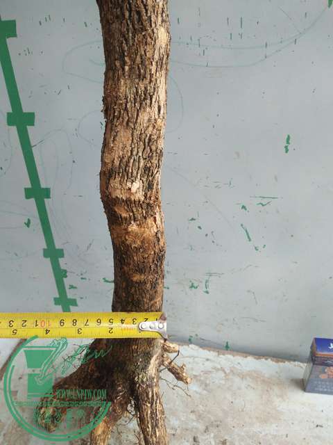IMG20170430104233.jpg